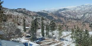 madhav palace homestay fagu