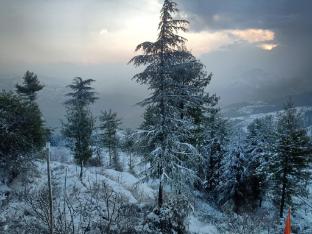 madhav palace homestay fagu