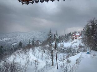 madhav palace homestay fagu