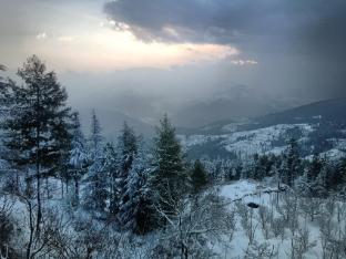 madhav palace homestay fagu