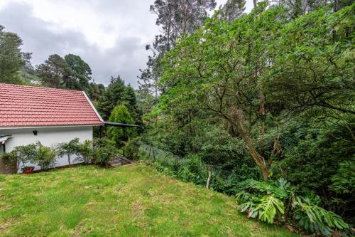 ooty