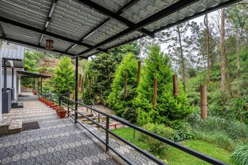 ooty