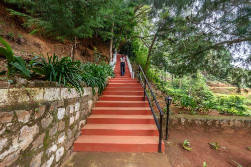 ooty