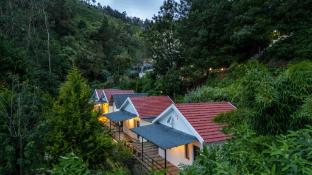 ooty