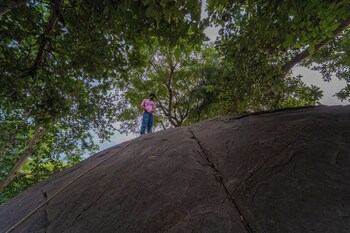 tehla bagh