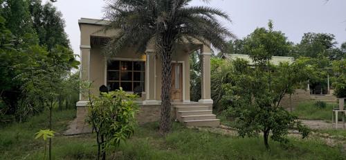 aranya jawai