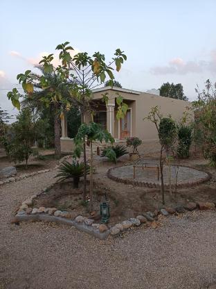 aranya jawai