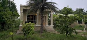 aranya jawai