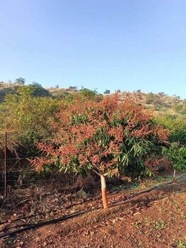 aikant agro tourism pondewadi