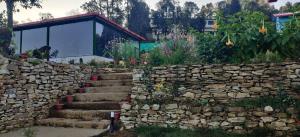 anandi resort