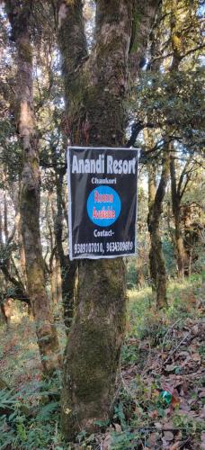 anandi resort