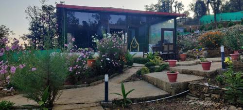 anandi resort
