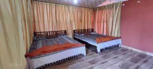 dandeli