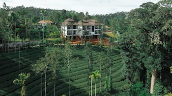 the feel munnar resort