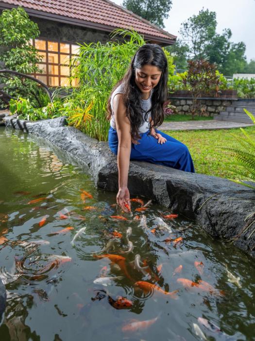 the feel munnar resort