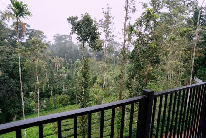 the feel munnar resort