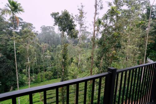 the feel munnar resort