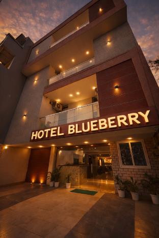 hotel blueberry bhedaghat