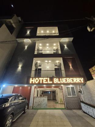 hotel blueberry bhedaghat