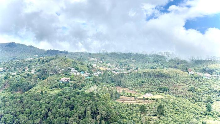 the hills edge