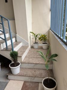 hotel abline the oaks