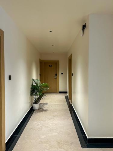 hotel orelio by tgh