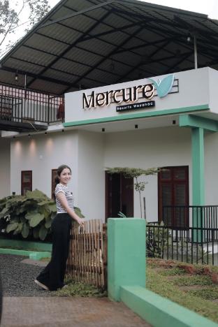 mercure resorts wayanad