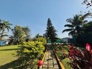 pyrite blue waters villas