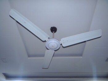 hotel celebration home