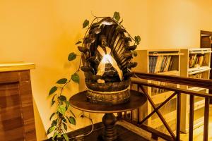 cilantro unwind delisso abode pelling