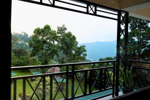 cilantro unwind delisso abode pelling