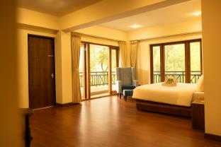 cilantro unwind delisso abode pelling