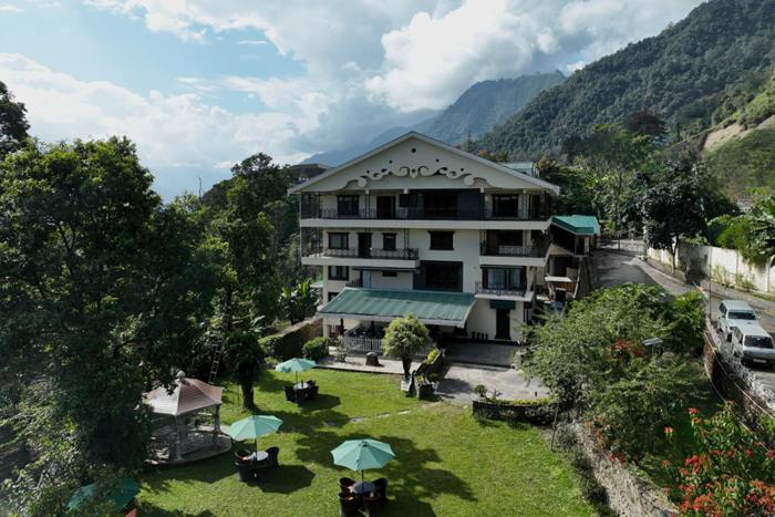 cilantro unwind delisso abode pelling
