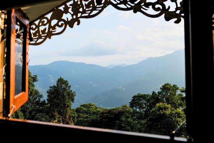 cilantro unwind delisso abode pelling