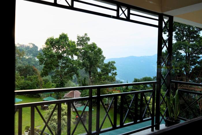 cilantro unwind delisso abode pelling