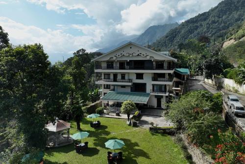 cilantro unwind delisso abode pelling