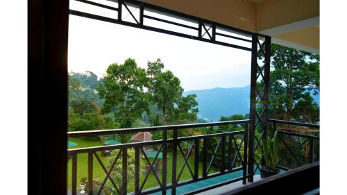 cilantro unwind delisso abode pelling