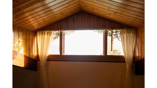 cilantro unwind delisso abode pelling