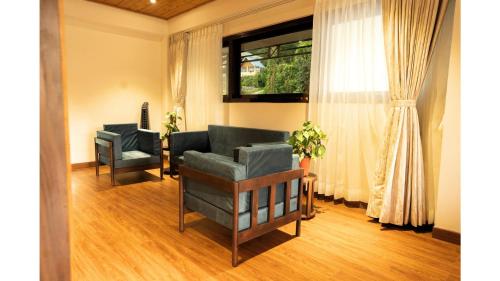 cilantro unwind delisso abode pelling