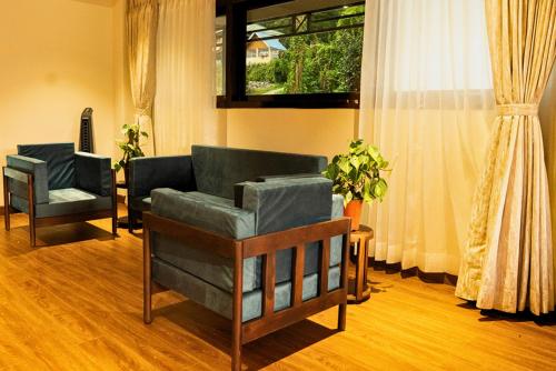 cilantro unwind delisso abode pelling
