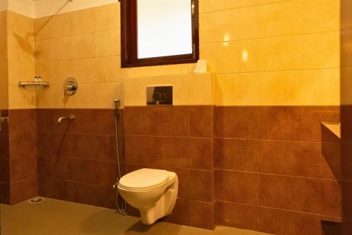 cilantro unwind delisso abode pelling