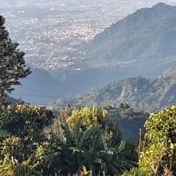 aasara homestay bhimtal