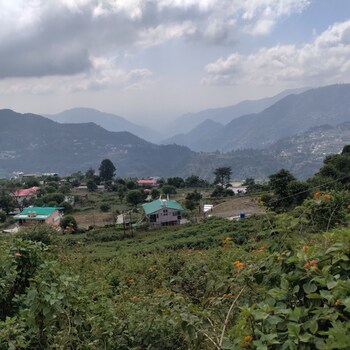 aasara homestay bhimtal