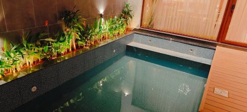 hf pool resorto