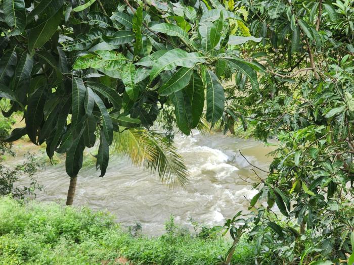 siruvani river retreat