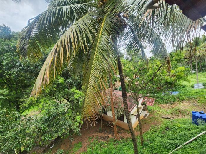 siruvani river retreat