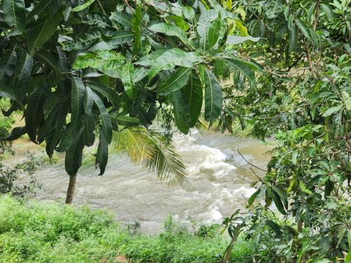 siruvani river retreat