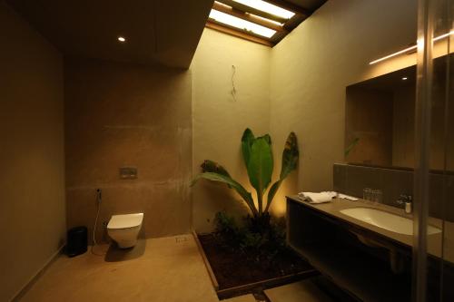 ayati resort and spa