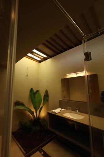 ayati resort and spa