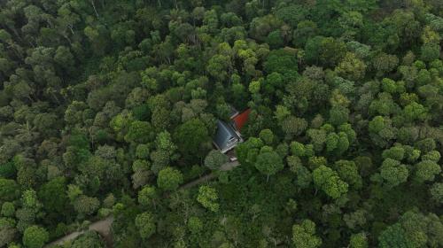 tapovana hillside retreat